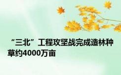 “三北”工程攻坚战完成造林种草约4000万亩