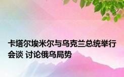 卡塔尔埃米尔与乌克兰总统举行会谈 讨论俄乌局势