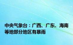 中央气象台：广西、广东、海南等地部分地区有暴雨