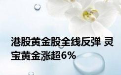 港股黄金股全线反弹 灵宝黄金涨超6%