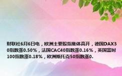 财联社6月6日电，欧洲主要股指集体高开，德国DAX30指数涨0.50%，法国CAC40指数涨0.16%，英国富时100指数涨0.18%，欧洲斯托克50指数涨0.