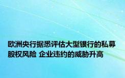 欧洲央行据悉评估大型银行的私募股权风险 企业违约的威胁升高