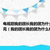 电视剧我的团长我的团为什么不拍完（我的团长我的团为什么被禁播）