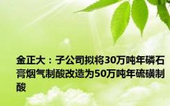 金正大：子公司拟将30万吨年磷石膏烟气制酸改造为50万吨年硫磺制酸