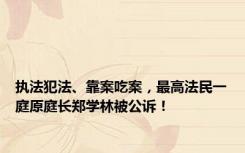 执法犯法、靠案吃案，最高法民一庭原庭长郑学林被公诉！