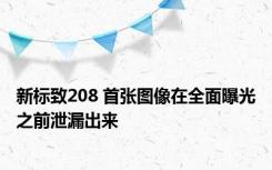 新标致208 首张图像在全面曝光之前泄漏出来