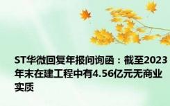 ST华微回复年报问询函：截至2023年末在建工程中有4.56亿元无商业实质