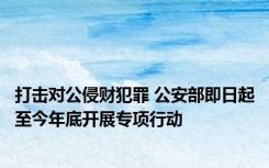 打击对公侵财犯罪 公安部即日起至今年底开展专项行动