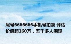 尾号6666666手机号拍卖 评估价值超160万，五千多人围观