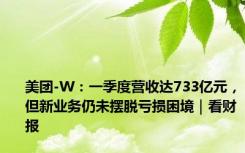 美团-W：一季度营收达733亿元，但新业务仍未摆脱亏损困境｜看财报