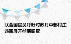 联合国官员呼吁对苏丹中部村庄遇袭展开彻底调查