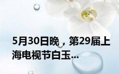 5月30日晚，第29届上海电视节白玉...