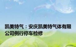 凯美特气：安庆凯美特气体有限公司例行停车检修