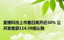 宜搜科技上市首日高开近50% 公开发售获114.59倍认购