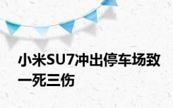 小米SU7冲出停车场致一死三伤