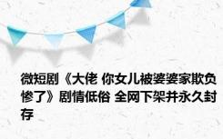 微短剧《大佬 你女儿被婆婆家欺负惨了》剧情低俗 全网下架并永久封存