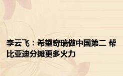 李云飞：希望奇瑞做中国第二 帮比亚迪分摊更多火力