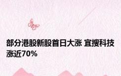 部分港股新股首日大涨 宜搜科技涨近70%