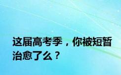 这届高考季，你被短暂治愈了么？