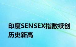 印度SENSEX指数续创历史新高