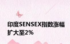 印度SENSEX指数涨幅扩大至2%