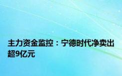 主力资金监控：宁德时代净卖出超9亿元