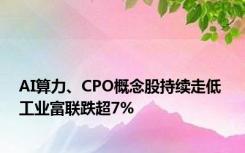 AI算力、CPO概念股持续走低 工业富联跌超7%