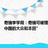 奇瑞李学用：奇瑞可被理解为“中国的大众和丰田”