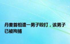 丹麦首相遭一男子殴打，该男子已被拘捕