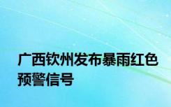 广西钦州发布暴雨红色预警信号