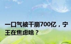 一口气被干崩700亿，宁王在焦虑啥？