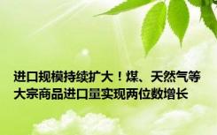 进口规模持续扩大！煤、天然气等大宗商品进口量实现两位数增长