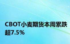 CBOT小麦期货本周累跌超7.5%