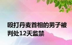 殴打丹麦首相的男子被判处12天监禁