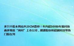 多只个股本周应声20CM跌停！年内超300份年报问询函多维度“拷问”上市公司，朗源股份和超越科技等热门股在列