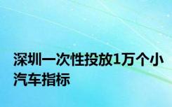 深圳一次性投放1万个小汽车指标