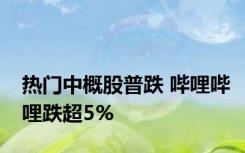 热门中概股普跌 哔哩哔哩跌超5%