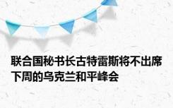 联合国秘书长古特雷斯将不出席下周的乌克兰和平峰会