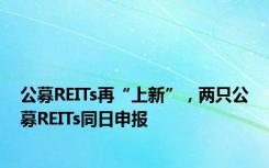 公募REITs再“上新”，两只公募REITs同日申报