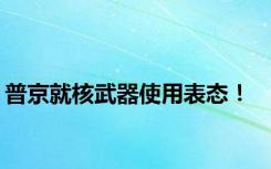 普京就核武器使用表态！