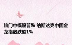 热门中概股普跌 纳斯达克中国金龙指数跌超1%