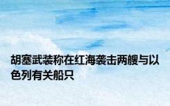 胡塞武装称在红海袭击两艘与以色列有关船只