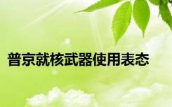 普京就核武器使用表态