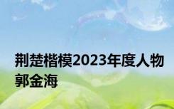 荆楚楷模2023年度人物郭金海