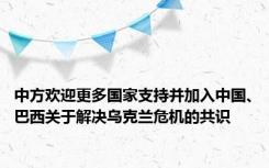 中方欢迎更多国家支持并加入中国、巴西关于解决乌克兰危机的共识