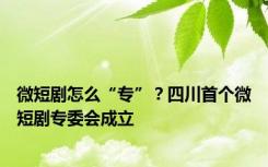 微短剧怎么“专”？四川首个微短剧专委会成立