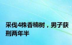 采伐4株香楠树，男子获刑两年半