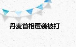 丹麦首相遭袭被打