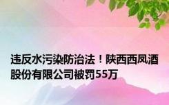 违反水污染防治法！陕西西凤酒股份有限公司被罚55万