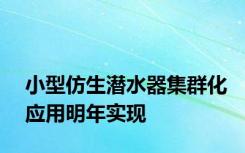 小型仿生潜水器集群化应用明年实现